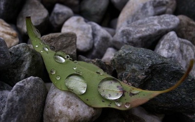 照片：「julia」BLOG